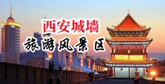 查一下骚骚女爽爽骚骚视频中国陕西-西安城墙旅游风景区